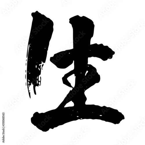 漢字生 Stock Vector Adobe Stock 漢字生 Stock Vector Adobe Stock
