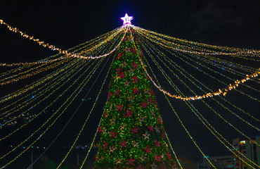  Christmas tree in colombia