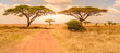 Leinwandbild Motiv Game drive on dirt road with Safari car in Serengeti National Park in beautiful landscape scenery, Tanzania, Africa