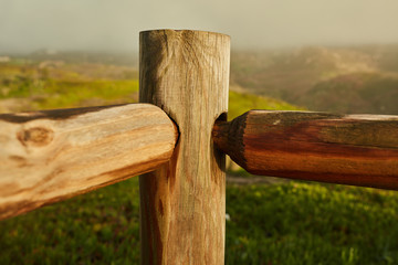 wooden cross on stump