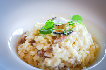 delicious italian risotto with black truffles