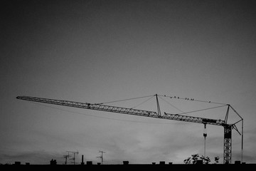 silhouette of crane at sunset