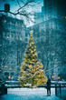 © lazyllama - Snow-covered Christmas tree with golden lights glowing against a stark urban background after a winter blizzard in New York City