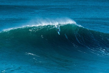 Canvas Print - Tall wave of the Atlantic Ocean carrying the surfer towards the shore of Nazare, Portugal