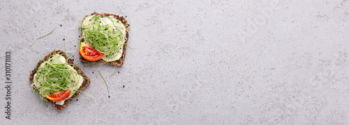 Cuadros en Lienzo Vegan toasts of wholegrain bread with tofu, microgreens