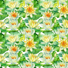 Seamless Pattern, Yellow Lotus Buds, Leaves, Seeds Flowers On An Isolated White Background, Watercolor Painting, Illustration
