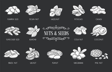 Wall Mural - Nuts and seeds glyph icons