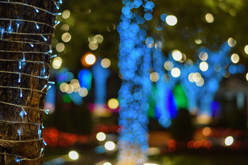 Poster - Light decorative outdoor hanging string lights hanging on tree in the garden at night time festivals season