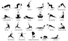 Popular Yoga Poses/Positions Illustrations Icons