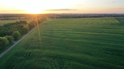  Sunrise over Rural Field (Drone)