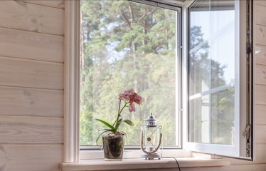 White window with mosquito net in a rustic wooden house overlooking the garden. Phalaenopsis orchid on the windowsill