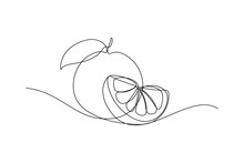 Orange Fruit Whole And A Slice In Continuous Line Art Drawing Style. Black Line Sketch On White Background. Vector Illustration