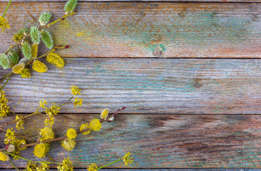 Wall Mural - spring background of flowering willow twigs and dogwood on an old wooden background with a copy space