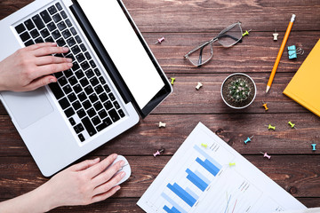 Poster - Woman working on laptop computer with paper charts and green cactus on wooden table