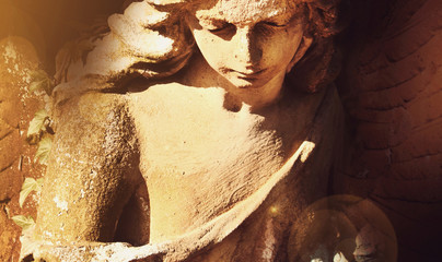 Wall Mural - golden beautiful angelwith wings in the sunlight (antique statue)