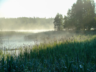 Wall Mural - landscape with fog over water, blurred background