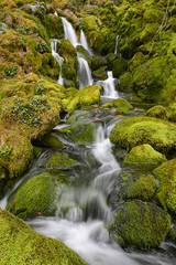 Wall Mural - La Tobería - Agua,. Ríos, Cascadas, - Andoin (Álava).