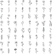 Big Floral And Herbal Set. Graphic Collection With Field And Garden Flowers. Hand Drawn Elements For Design On A White Background.