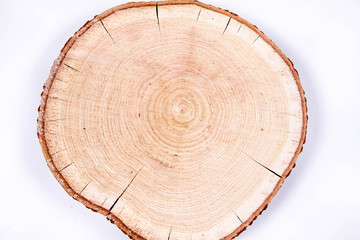 Slice of fresh oak wood on a white background	