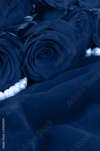red roses on velvet