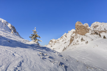 Wall Mural - mountain landscape in winter