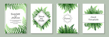 Set Of Luxury Floral Wedding Invitation Design Or Greeting Card Templates With Green Fern Leaves On A White Background.
