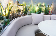 The Curve Shape Sofa And The Artificial Cactus Decoration With The Beautiful Dim Light.Outdoor Decoration Concept.