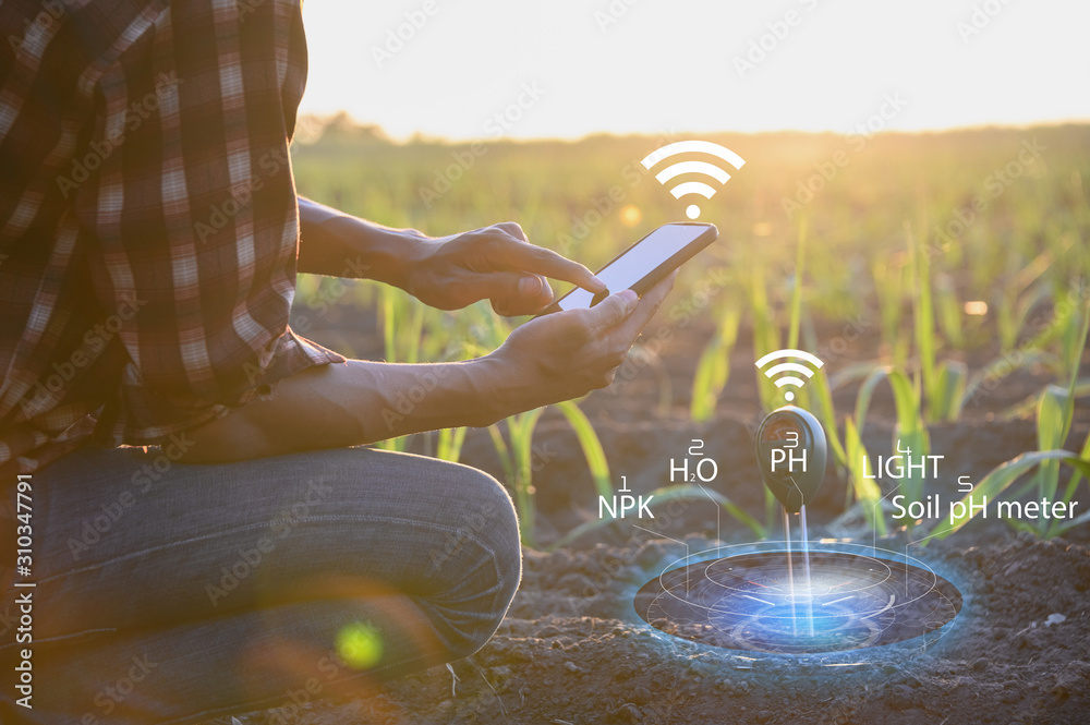 IoT(Internet of Things)smart agriculture industry 4.0,5.0 concept.farmer working in farm To collect data to study and develop his farm to improved productivity in the future. - obrazy, fototapety, plakaty 
