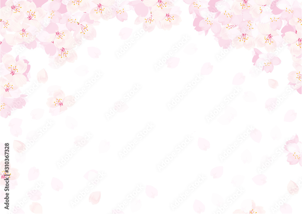 桜 背景イラスト Fototapety 3d