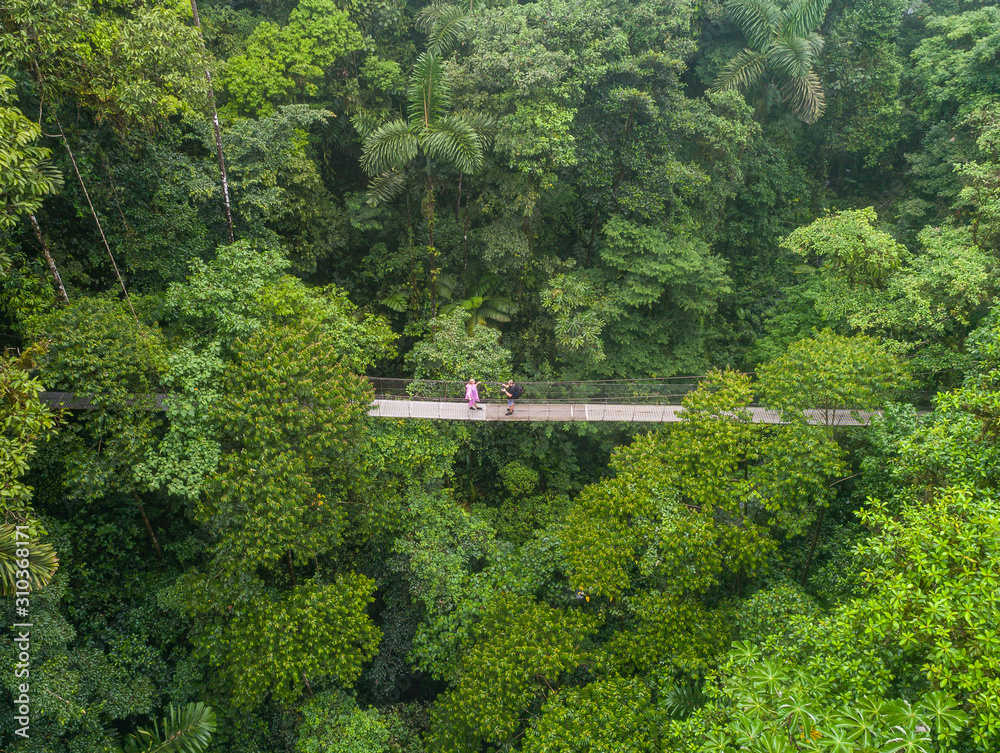 Couple walking over mystico hanging bridges at La Fortuna rainforest aerial drone view in Costa Rica jungle - obrazy, fototapety, plakaty 