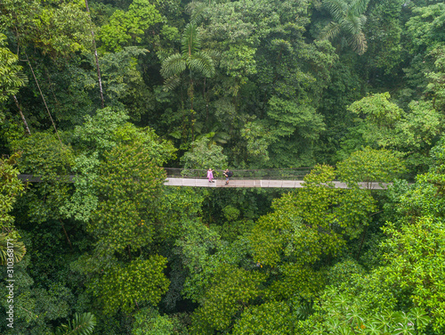 Fotomural Couple walking over mystico hanging bridges at La Fortuna rainforest aerial dron