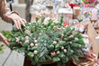 A woman decorates a Christmas arrangement. Master class on making decorative ornaments. Christmas decor with their own hands. The new year celebration. Flower shop