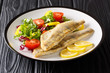 Healthy fried pikeperch fillet with salad and lemon closeup in a plate. horizontal