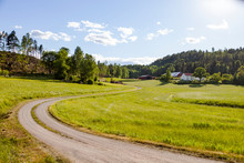View Of Country Road