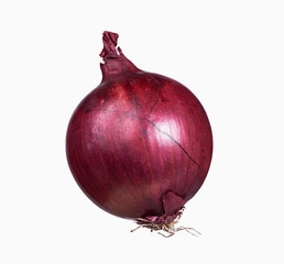 Sticker - Fresh onion isolated on white background