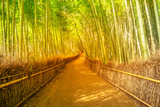 Fototapeta Dziecięca - Surreal path in bamboo grove at Sagano in Arashiyama, sunlit. The forest is Kyoto's second most popular tourist destination and among the 100 phonetic stations in Japan. Meditative listening concept.