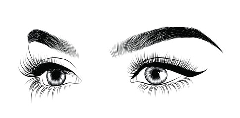  Fashion illustration of the eye with long full lashes. Hand drawn vector idea for business visit cards, templates, web, salon banners,brochures. Natural eyebrows and modern makeup