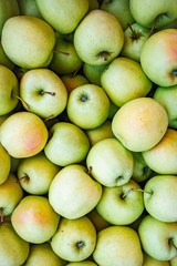 Wall Mural - Background of green apples. Lots of green apples. Beautiful background of green apples