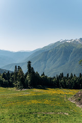 Wall Mural - Beautiful mountain view on a Sunny day