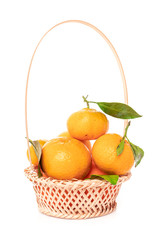 Wall Mural - tangerines  with leaves in a beautiful basket. organic ripe mandarins