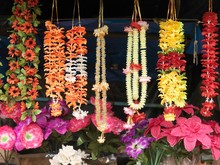 Different Necklaces And Artificial Flowers