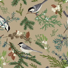 Birds And Holly Seamless Pattern Free Stock Photo - Public Domain Pictures