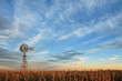 Texas style westernmill windmill at sunset, with a golden colored grain field in the foreground, Argentina