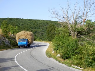 Wall Mural - hay