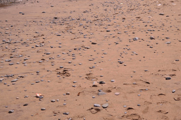 Wall Mural - Sand and gravel on the beach