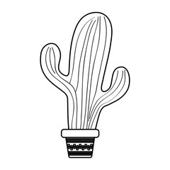 Canvas Print - Isolated cactus plant vector design