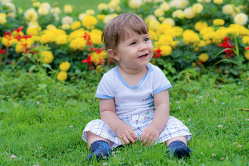 Little boy is playing on the grass