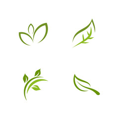 Canvas Print - Green leaf icon logo design vector illustration template