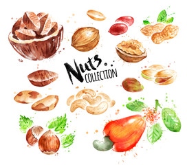 Wall Mural - Watercolor collection of nuts