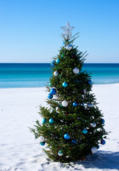 tropical christmas tree on white sandy beach